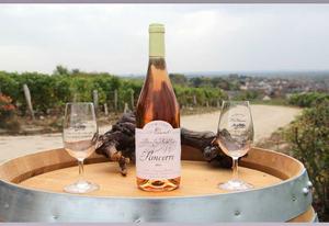 Sancerre Rosé 2023 AOC