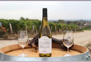 Sancerre blanc 2023 AOC